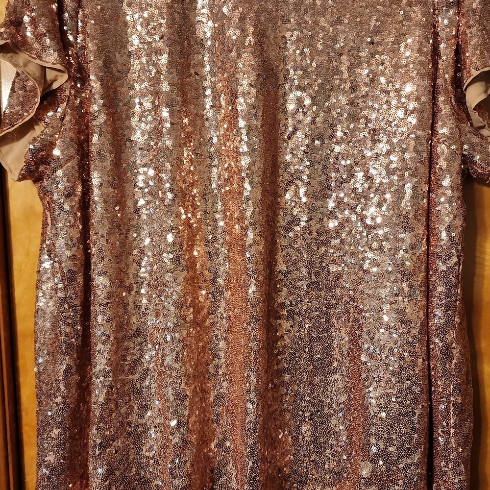 Torrid Rose Gold Sequin Short Sleeve Top